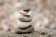 Steen op steen voor een mediatie met mooie aardse kleuren van Karijn | Fine art Natuur en Reis Fotografie thumbnail