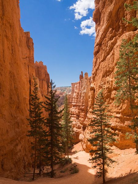 Bryce Canyon, Utah by Katrin May
