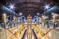 Gare d'Amsterdam par Dennis Dieleman Aperçu