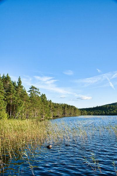 Lake in Sweden with white clouds, blue water and trees on the shore by Martin Köbsch