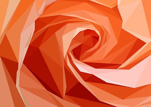 Oranje Roos Gesloten Abstract Laagpolig
