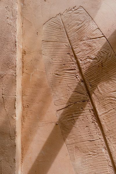 Terracotta wall with leaf shape and shadow play by Annelene Simonse