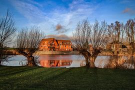 De Waaij van Karlo Bolder