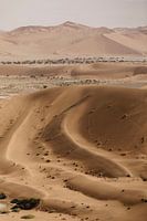 Die sanften Sanddünen von Sossusvlei