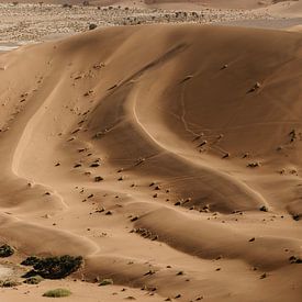De golvende zandduinen van de Sossusvlei van Leen Van de Sande