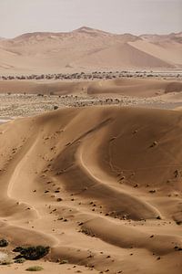 De golvende zandduinen van de Sossusvlei van Leen Van de Sande