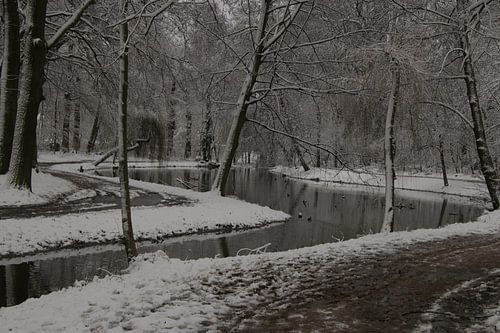 Parkteich von Boom im Winter