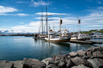 Der Hafen von Húsavík von Loes Vaartjes