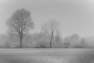 Winter landschap van Teo Goudriaan thumbnail