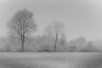 Die Winterlandschaft