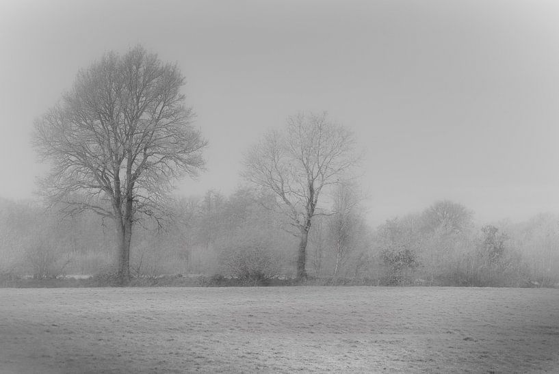 Winter landschap van Teo Goudriaan