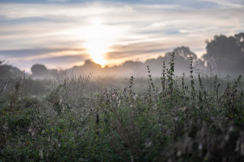 Meinerswijk part 7 van Tania Perneel