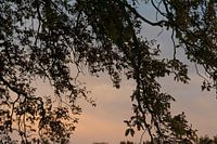 coucher de soleil de rêve