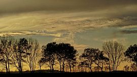 Coucher de soleil sur une digue avec une rangée d'arbres à Zeeland