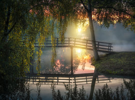 Dordrecht Biesbosch by Herman van den Berge