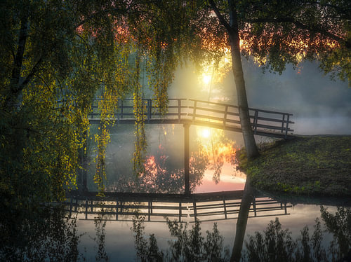 Dordtsche Biesbosch van Herman van den Berge