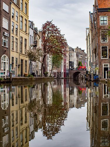De Oude Gracht Weerkaatst