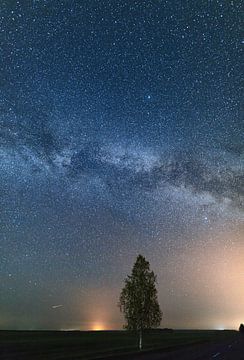 Einsamer Baum gegen Himmel voller Sterne von Yevgen Belich