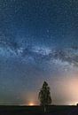 Lonely tree against sky full of stars by Yevgen Belich thumbnail