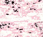 Abstract Lava Pattern In Light Pink And White von GittaGsArt Miniaturansicht