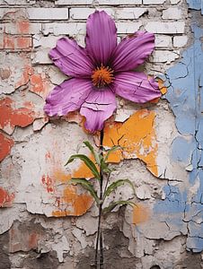 Mauer Graffiti lila Blume Verfall Geschichte Vergangenheit