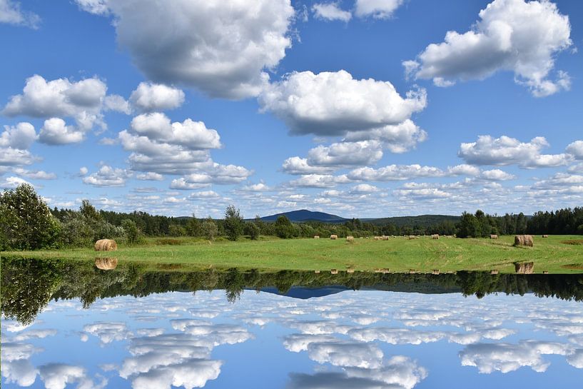 Een veld tijdens de zomeroogst by Claude Laprise