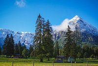 Snow-covered mountains and green meadows