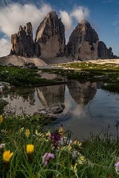 Tre Cime / Three Seasons
