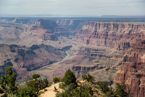 Weidse blik op de Grand Canyon