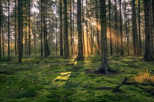 Landschap - zonnestralen 