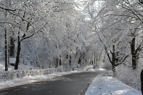 limburg in the snow