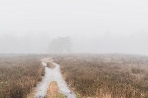 Path through the winter moors in the mist by Merlijn Arina Photography