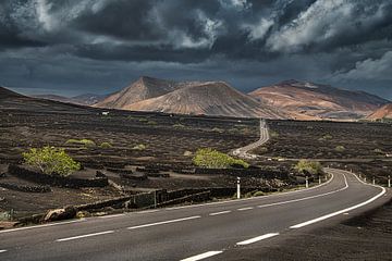 Slingerweg door La Geria, het druiventeelt gebied van Lanzarote