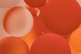 Orange : gouttes sur l'eau sur Marjolijn van den Berg