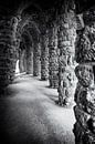 Park Guell Stenen Zuilen Portiek - Gaudi, Barcelona in zwart-wit van Andreea Eva Herczegh thumbnail