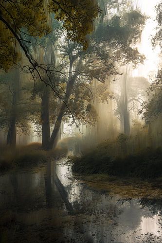 Wolfhezerheide part 143