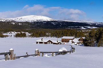 Winters landschap in Noorwegen van Adelheid Smitt