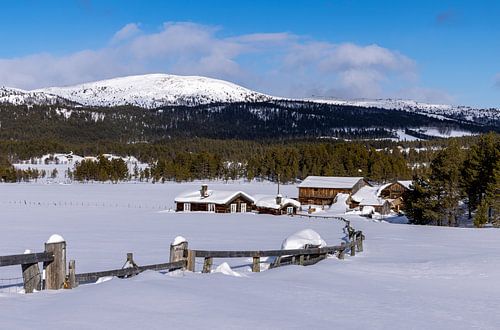 Paysage d'hiver en Norvège sur Adelheid Smitt