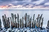 Old sea wall Moddergat by Jurjen Veerman thumbnail