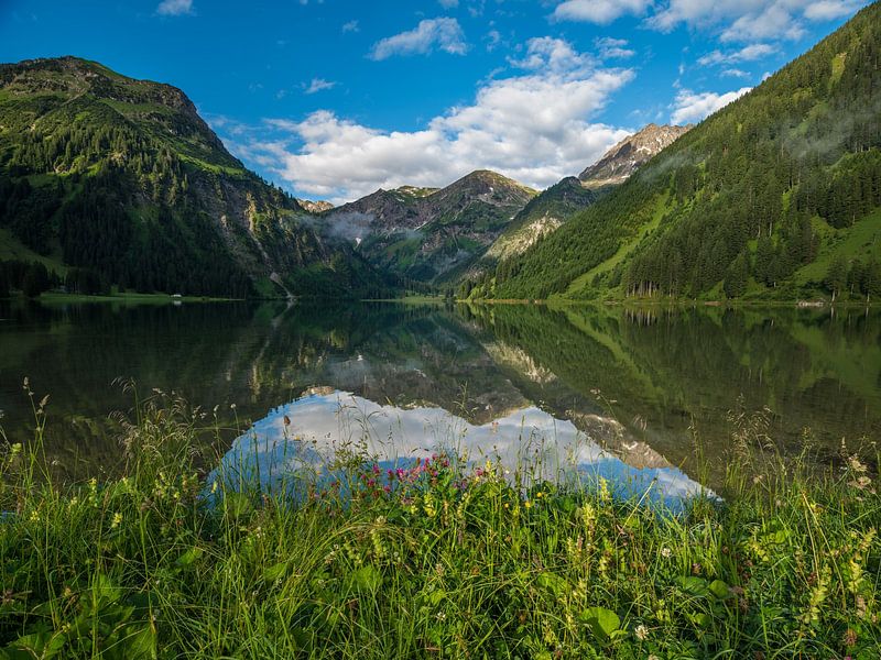 Mountain flowers at the Vilsalpsee by Denis Feiner
