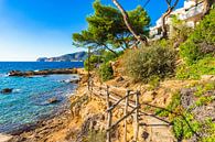 Mooi pad langs de kust op het eiland Mallorca, Spanje Middellandse Zee van Alex Winter thumbnail