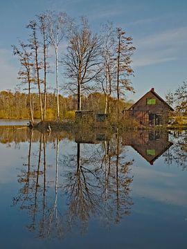 Winter atmosphere at the lake by Roger Trelou