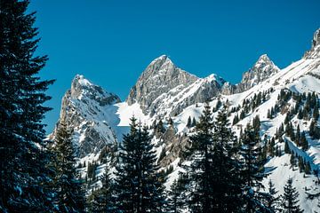 Tannheimer Berge im Winterzauber von Leo Schindzielorz
