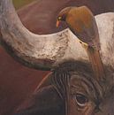 Büffel afrikanisch von Russell Hinckley Miniaturansicht