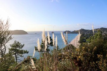 Uitzicht tijdens de wandeling naar Cathedral Cove van Nicolette Suijkerbuijk Fotografie