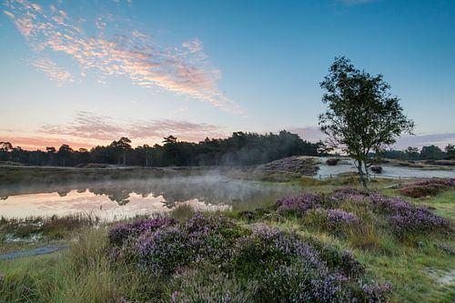 Zonsopkomst Bosvijver op landgoed heidestein!