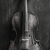 Muziekinstrument in zwart-wit van Gelissen Artworks
