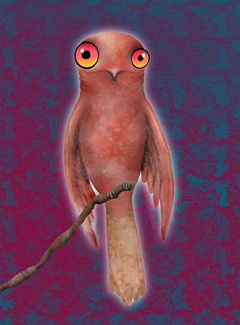 Common potoo digital drawing by Bianca Wisseloo