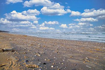 Uitzicht over een strand op Usedom met schelpen en uitzicht op de Oostzee van Martin Köbsch