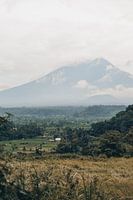 Paradijselijk Uitzicht: Rijstvelden en Mount Agung in Betoverend Bali